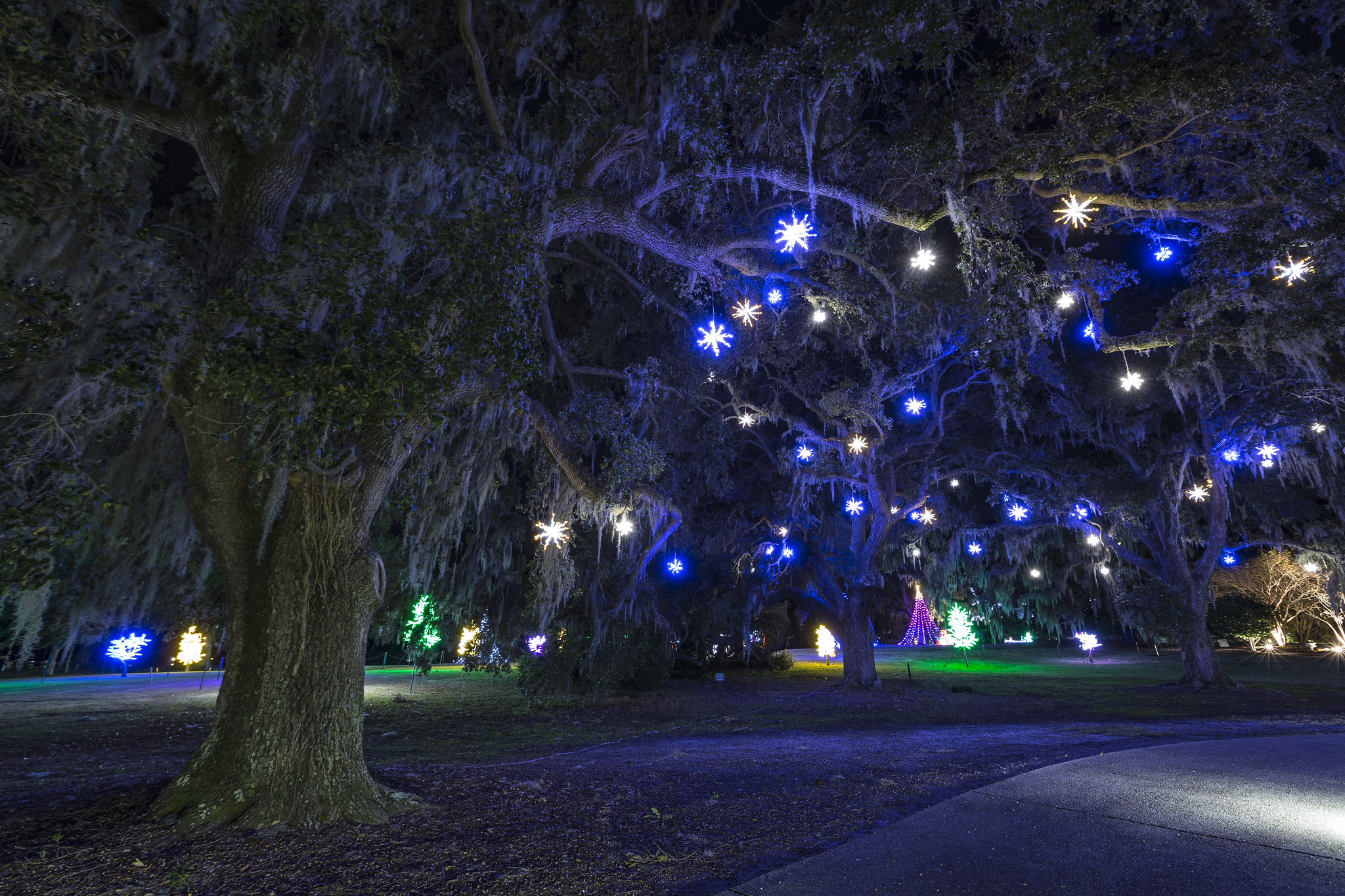 Enchanted Airlie Airlie Gardens